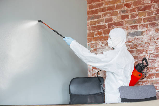 Mold Removal for HVAC Installations