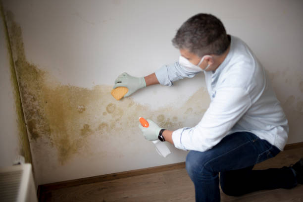 Best Airborne Mold Testing  in Pine Mountain, GA